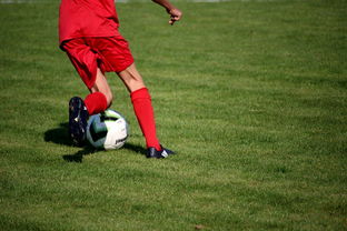 开云体育入口下载-意甲裁判语义分析系统在比赛判罚中的应用研究，意甲第三轮裁判