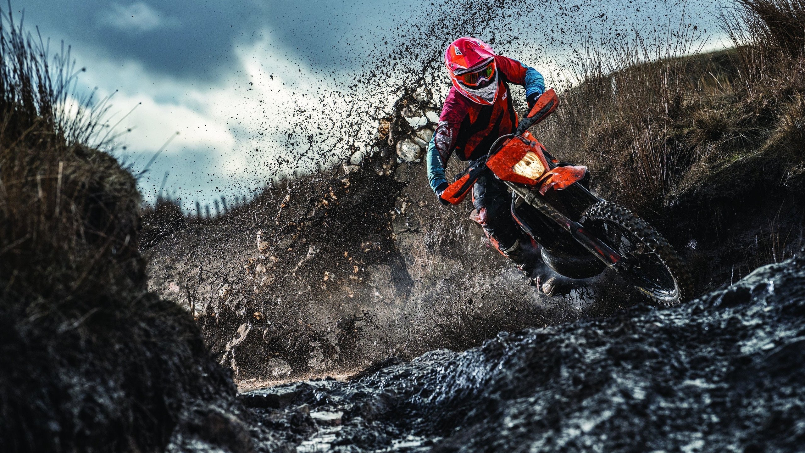 体育新闻中心助力校园体育全面发展，体育新闻中心助力校园体育全面发展的意义