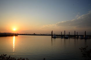 开云体育入口下载-千帆竞发，轻艇马拉松点亮湖滨赛场，赛艇马拉松多少公里